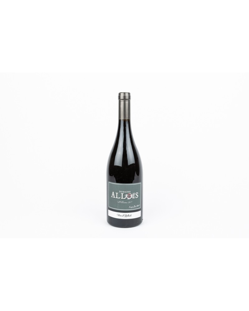 Domaine Alloïs - Terre d'Ailleuls rouge